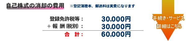 自己株式の消却の費用